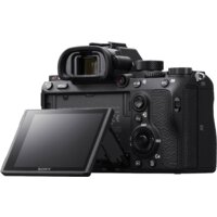 Беззеркальный фотоаппарат Sony Alpha a7R III Body - Превью изображения №8 — Интернет-магазин ПроЗаказ