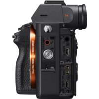 Беззеркальный фотоаппарат Sony Alpha a7R III Body - Превью изображения №5 — Интернет-магазин ПроЗаказ