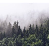 Обои