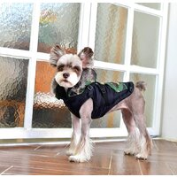 Жилетка для животных Puppia Orson PARD-VT1569-BK-L (черный) - Превью изображения №3 — Интернет-магазин ПроЗаказ
