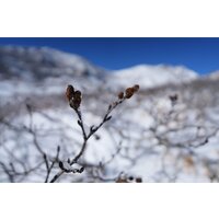 Объектив Sony FE 16-25mm F2.8 G - Превью изображения №19 — Интернет-магазин ПроЗаказ