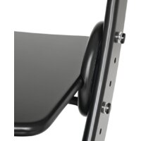 Растущий стул Друг Кузя Растущий Павлин (черный) - Превью изображения №2 — Интернет-магазин ПроЗаказ