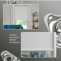 Рулонные шторы Franc Gardiner Blackout Silver 200x175 7794526 (белый) - Превью изображения №3 — Интернет-магазин ПроЗаказ