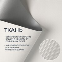 Рулонные шторы Franc Gardiner Blackout Silver 200x175 7794526 (белый) - Превью изображения №2 — Интернет-магазин ПроЗаказ