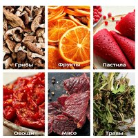 Сушилка для овощей и фруктов Kitfort KT-1917 - Превью изображения №7 — Интернет-магазин ПроЗаказ