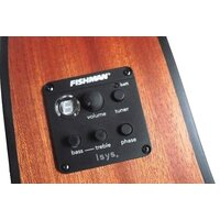 Электроакустическая гитара Randon RGI-01-CE - Превью изображения №3 — Интернет-магазин ПроЗаказ