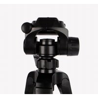 Трипод Evolution TM-3520E - Превью изображения №16 — Интернет-магазин ПроЗаказ