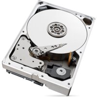 Жесткий диск Seagate Skyhawk 10TB [ST10000VX0004] - Превью изображения №4 — Интернет-магазин ПроЗаказ