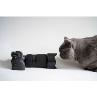 Объектив Tamron 50-300mm F/4.5-6.3 Di III VC VXD - Превью изображения №15 — Интернет-магазин ПроЗаказ