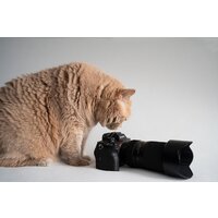 Объектив Tamron 50-300mm F/4.5-6.3 Di III VC VXD - Превью изображения №16 — Интернет-магазин ПроЗаказ