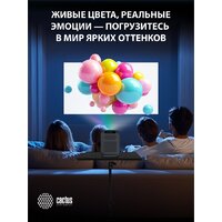 Проектор CACTUS CS-PRC.07B.WUXGA-A - Превью изображения №19 — Интернет-магазин ПроЗаказ