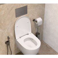 Держатель для туалетной бумаги Allen Brau Priority 6.31007-MG 323765 - Превью изображения №5 — Интернет-магазин ПроЗаказ