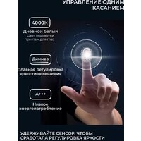 Зеркало EMZE Led с подсветкой и УФ-окантовкой 50x100 LED.UV.ARC.50.100.AUR (золото) - Превью изображения №6 — Интернет-магазин ПроЗаказ