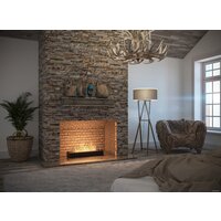 Биокамин SimpleFire FireBox 600 - Превью изображения №3 — Интернет-магазин ПроЗаказ