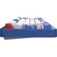 Клавиатура Red Square Alumix TKL Classic Pakuru (белый, g3ms Aquamarine) - Превью изображения №6 — Интернет-магазин ПроЗаказ