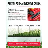 Газонокосилка Wortex CLM 3836 ALL1 0333235 (без АКБ) - Превью изображения №11 — Интернет-магазин ПроЗаказ