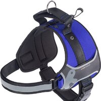 Ferplast Hercules P M 75468325 (синий)