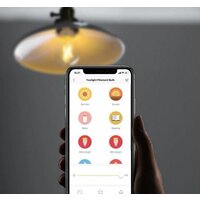Умная лампочка Yeelight LED Filament Light YLDP12YL E27 6 Вт 2700K - Превью изображения №4 — Интернет-магазин ПроЗаказ