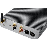 Настольный усилитель Burson Audio Conductor 3Х Performance - Превью изображения №5 — Интернет-магазин ПроЗаказ