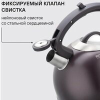 Чайник со свистком Rondell Tierno RDS‑1900 - Превью изображения №4 — Интернет-магазин ПроЗаказ