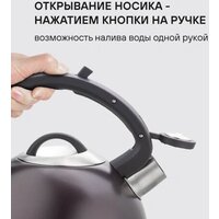 Чайник со свистком Rondell Tierno RDS‑1900 - Превью изображения №3 — Интернет-магазин ПроЗаказ