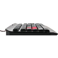 Клавиатура A4Tech Bloody Q100 - Превью изображения №3 — Интернет-магазин ПроЗаказ