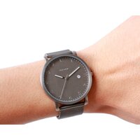 Наручные часы Skagen SKW6307 - Превью изображения №9 — Интернет-магазин ПроЗаказ