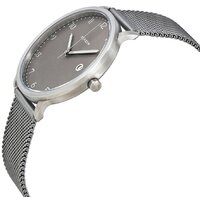 Наручные часы Skagen SKW6307 - Превью изображения №2 — Интернет-магазин ПроЗаказ