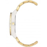 Наручные часы Anne Klein 3910WTGB - Превью изображения №2 — Интернет-магазин ПроЗаказ