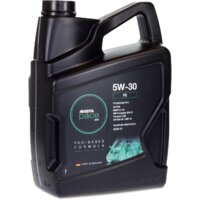 Моторное масло Avista pace EVO FE 5W-30 5л - Превью изображения №2 — Интернет-магазин ПроЗаказ