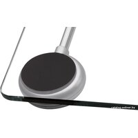 Напольные весы Clatronic PW 3368 (271 666) - Превью изображения №3 — Интернет-магазин ПроЗаказ