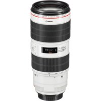 Объектив Canon EF 70-200mm f/2.8L IS III USM - Превью изображения №4 — Интернет-магазин ПроЗаказ