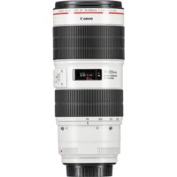 Объектив Canon EF 70-200mm f/2.8L IS III USM - Превью изображения №8 — Интернет-магазин ПроЗаказ