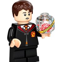 Конструктор LEGO Harry Potter 76395 Хогвартс: первый урок полетов - Превью изображения №13 — Интернет-магазин ПроЗаказ