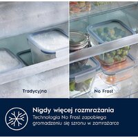 Холодильник Electrolux TwinTech No Frost 600 CustomFlex ENT6ME19S - Превью изображения №3 — Интернет-магазин ПроЗаказ