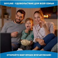 Телевизор Skyline 43LST6385 - Превью изображения №5 — Интернет-магазин ПроЗаказ