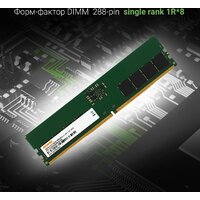 Оперативная память Digma 16ГБ DDR5 4800 МГц DGMAD54800016S - Превью изображения №3 — Интернет-магазин ПроЗаказ