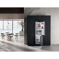 Холодильник Miele KFN 7744 C 125 Gala Ed - Превью изображения №2 — Интернет-магазин ПроЗаказ