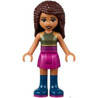 Конструктор LEGO Friends 41368 Шоу талантов - Превью изображения №11 — Интернет-магазин ПроЗаказ