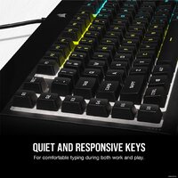 Клавиатура Corsair K55 RGB Pro (нет кириллицы) - Превью изображения №16 — Интернет-магазин ПроЗаказ