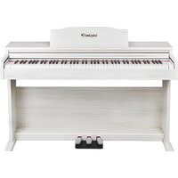 Solista DP200WA