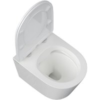 Унитаз подвесной Berges Wasserhaus Vita Rimless 043382 (с сиденьем) - Превью изображения №5 — Интернет-магазин ПроЗаказ