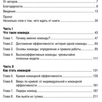 Книга издательства Альпина Диджитал. Командный подход. Создание высокоэффективной организации (Катценбах Ж.) - Превью изображения №2 — Интернет-магазин ПроЗаказ