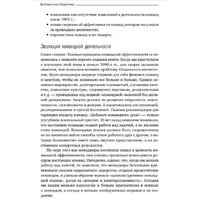 Книга издательства Альпина Диджитал. Командный подход. Создание высокоэффективной организации (Катценбах Ж.) - Превью изображения №11 — Интернет-магазин ПроЗаказ