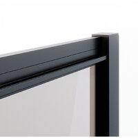Душевая дверь Ambassador Forsa 110x200 17021217AB - Превью изображения №7 — Интернет-магазин ПроЗаказ