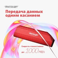 Внешний накопитель Patriot Transporter Lite 512GB PTPL512GPEC - Превью изображения №8 — Интернет-магазин ПроЗаказ