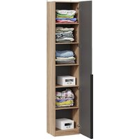 Шкаф-пенал Трия Порто СМ-393.07.212 с 1 зеркальной дверью (яблоня беллуно/графит) - Превью изображения №3 — Интернет-магазин ПроЗаказ