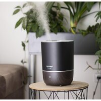 Увлажнитель воздуха Concept ZV1210 (чёрный) - Превью изображения №5 — Интернет-магазин ПроЗаказ
