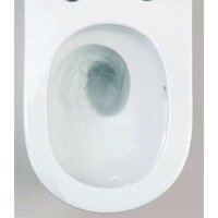 Унитаз подвесной Roxen Vortex в комплекте с инсталляцией StounFix Dual Fresh 6 в 1 968489 (кнопка: сатин) - Превью изображения №11 — Интернет-магазин ПроЗаказ