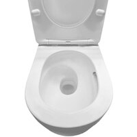 Унитаз подвесной Roxen Vortex в комплекте с инсталляцией StounFix Dual Fresh 6 в 1 968489 (кнопка: сатин) - Превью изображения №6 — Интернет-магазин ПроЗаказ